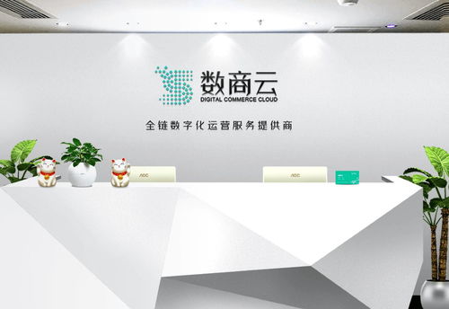 廣州市數商云網絡科技 專業的計算機服務解決方案